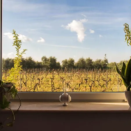 Frühstückspension Tenuta Vigna Del Noce Corato