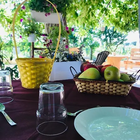 Tenuta Vigna Del Noce