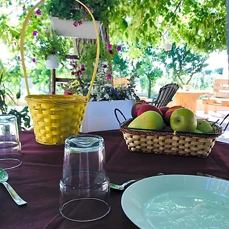 Bed & Breakfast Tenuta Vigna Del Noce