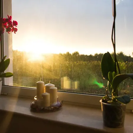 Tenuta Vigna Del Noce